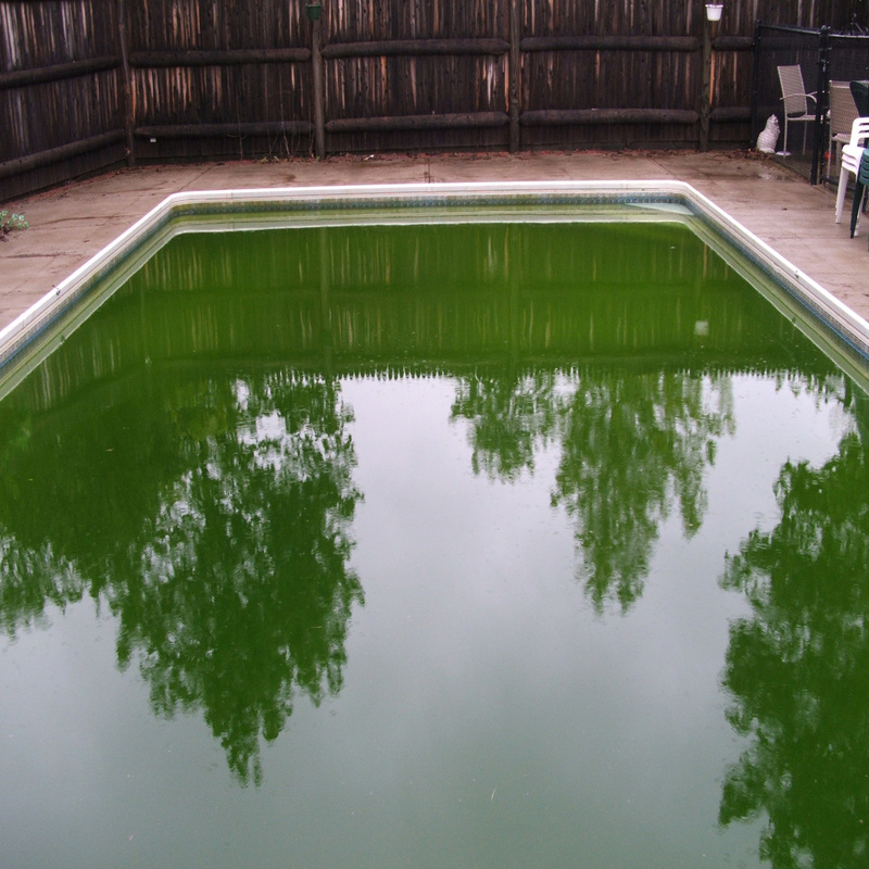 Recuperación de aguas verdes piscinas